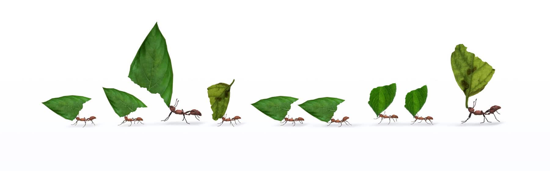 Berit Kokott - Coaching mit Herz